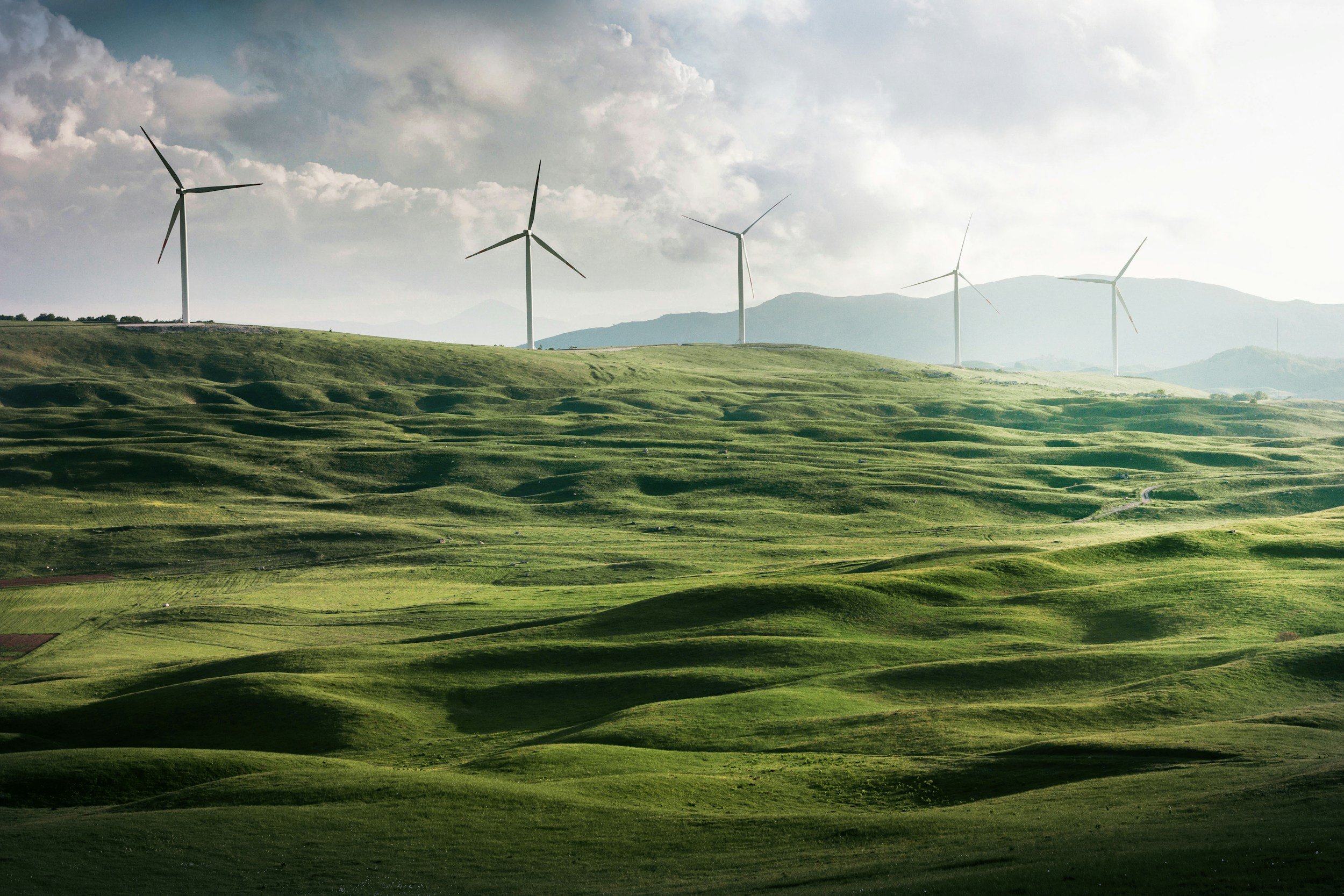Sustainability and ESG Integration